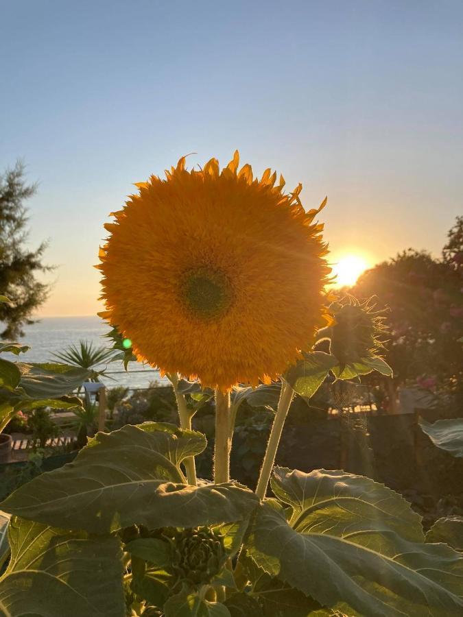 Korali House Villa Kalamaki  Ngoại thất bức ảnh